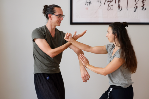Wing Chun kung Fu Online Kurse Training Wien