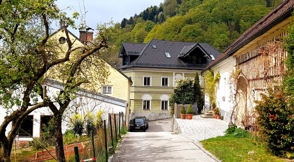 Wing CHun Kung Fu Tai Chi und Qi Gong Wochenenden St.Nikola an der Donau