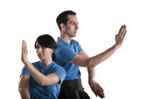 Wu Chi Qi Gong Kurs Tai Chi Kurs Wien