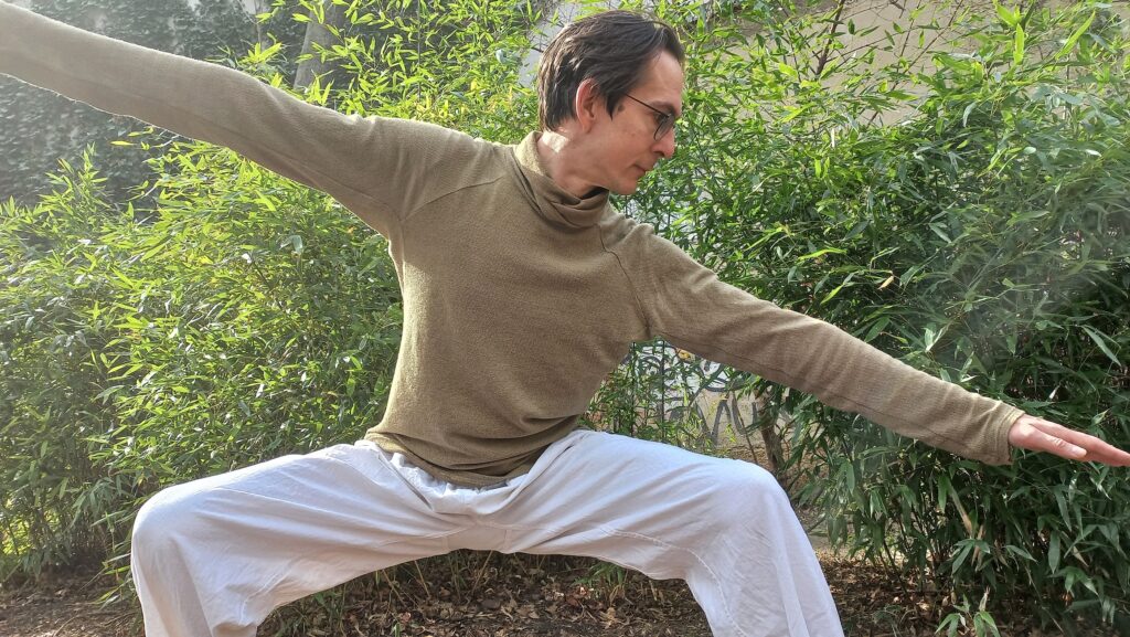 Tai Chi Kranich Tai Chi Qi Gong Kurs Wien Long Zentrum