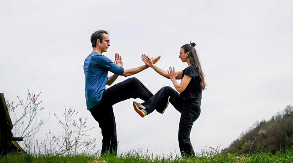 Tai Chi Qi Gong Wing Chun Kung Fu Kurse Wien Long Zentrum 1070