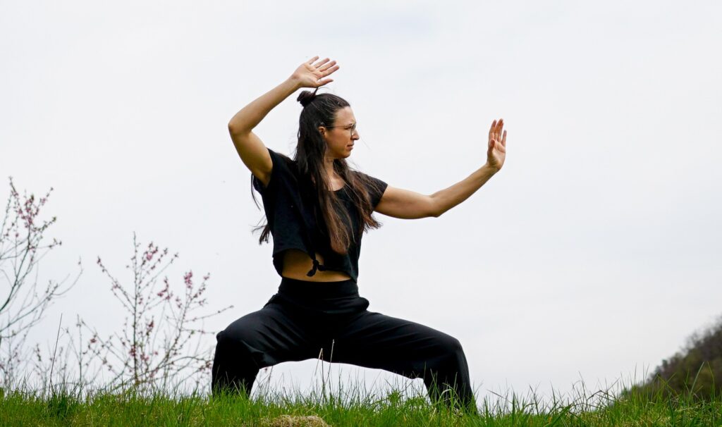 Tai Chi Kurse Tai Ji Unterricht Wien 