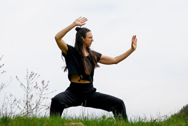 Tai Chi Kurse Tai Ji Unterricht Wien