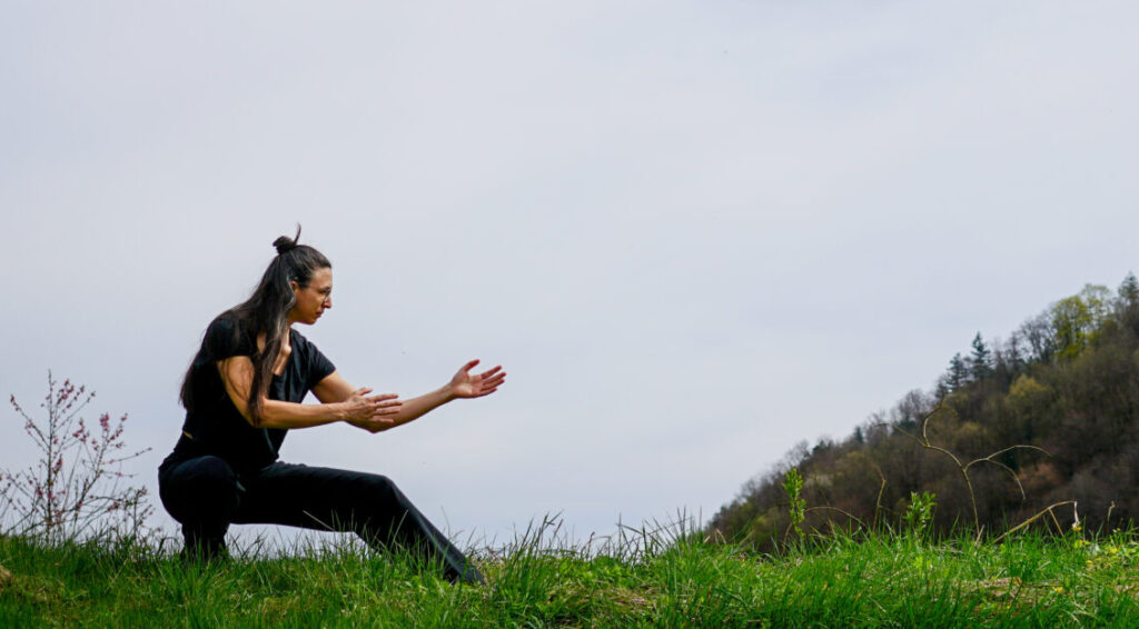 Tai Chi Kurs Wien Long Zentrum