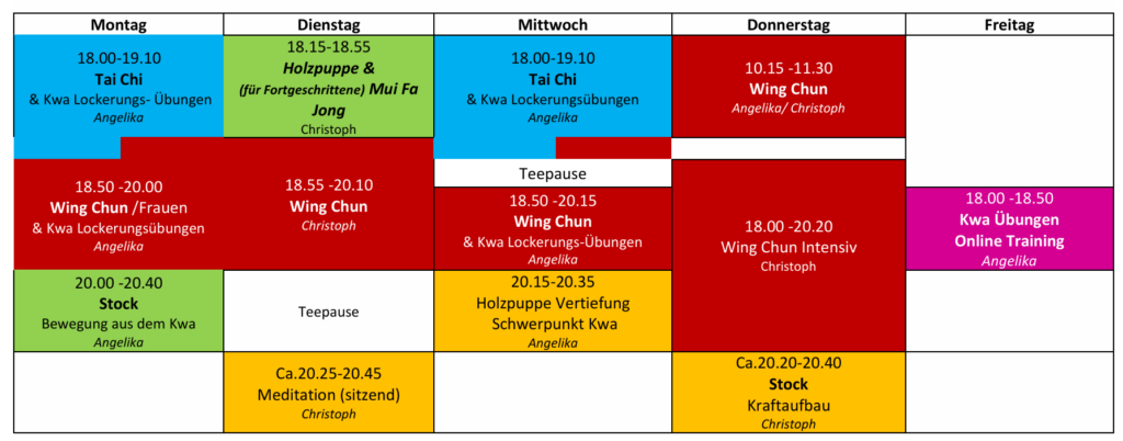 Wing chun Kung Fu tai Chi Training Wien