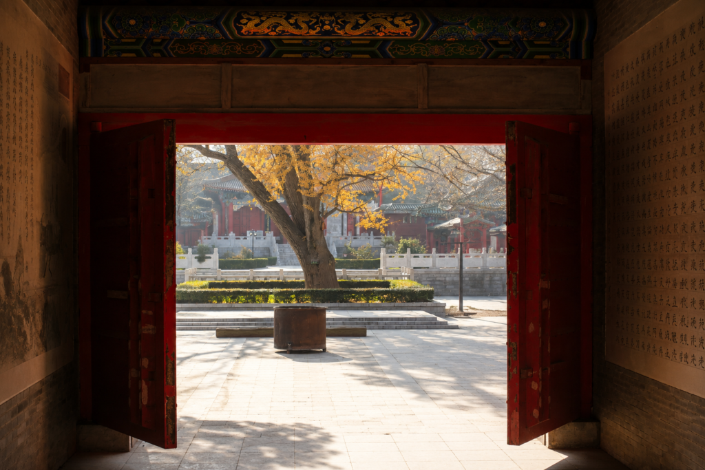 Wissen Kampfkunst Kung Fu, Tai Chi, qi Gong, Philosophie Long Zentrum Wien