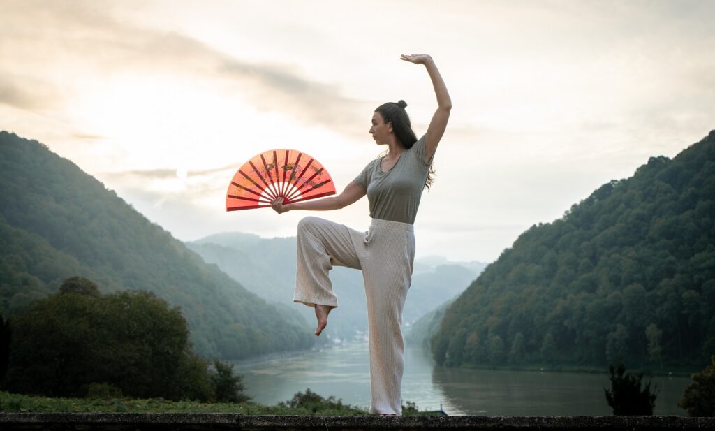 Kampfkunst Kung Fu Tai Chi Qi Gong und Meditation Kurs Wien